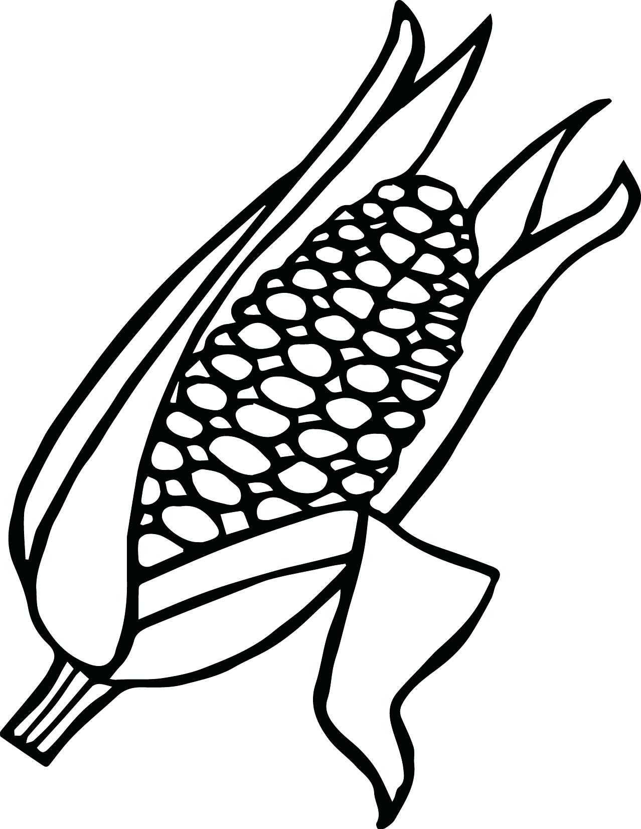 120 Corn Coloring Pages Printable 67