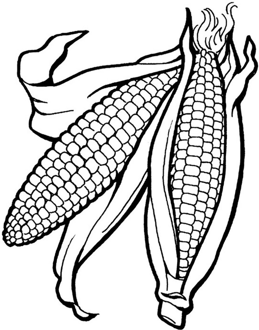 120 Corn Coloring Pages Printable 68