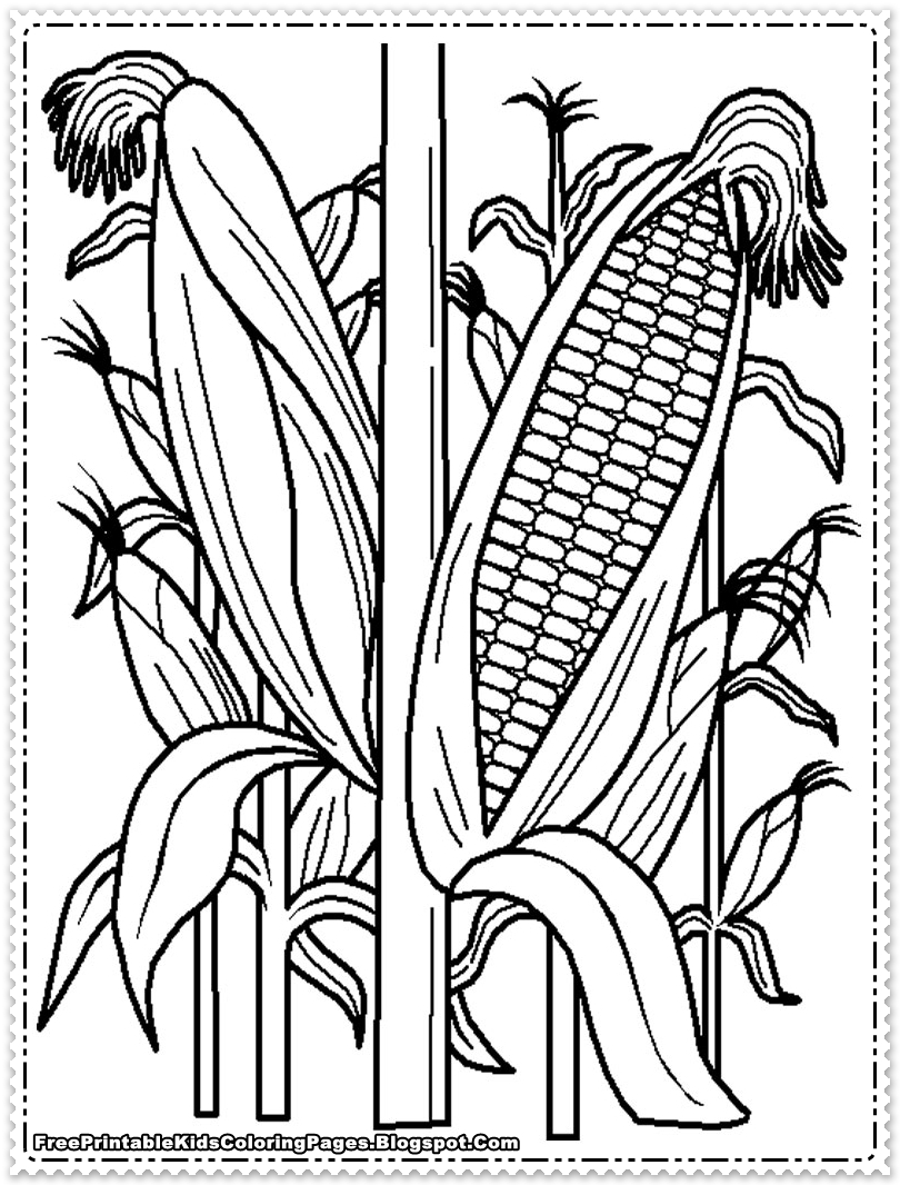 120 Corn Coloring Pages Printable 69