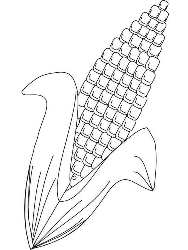 120 Corn Coloring Pages Printable 7