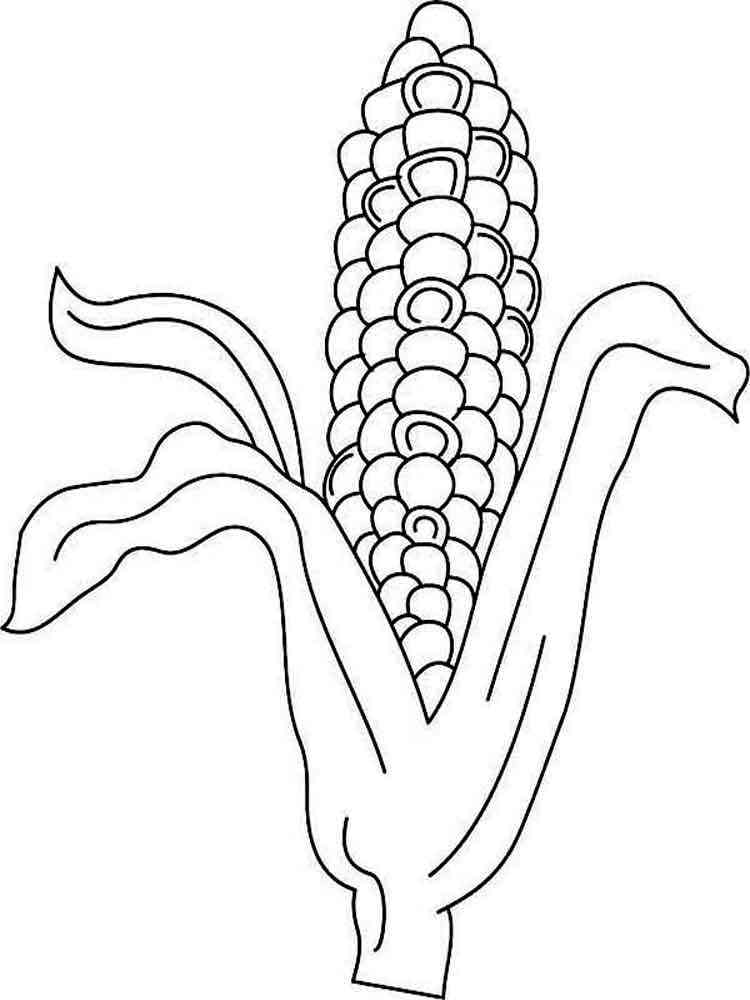 120 Corn Coloring Pages Printable 80