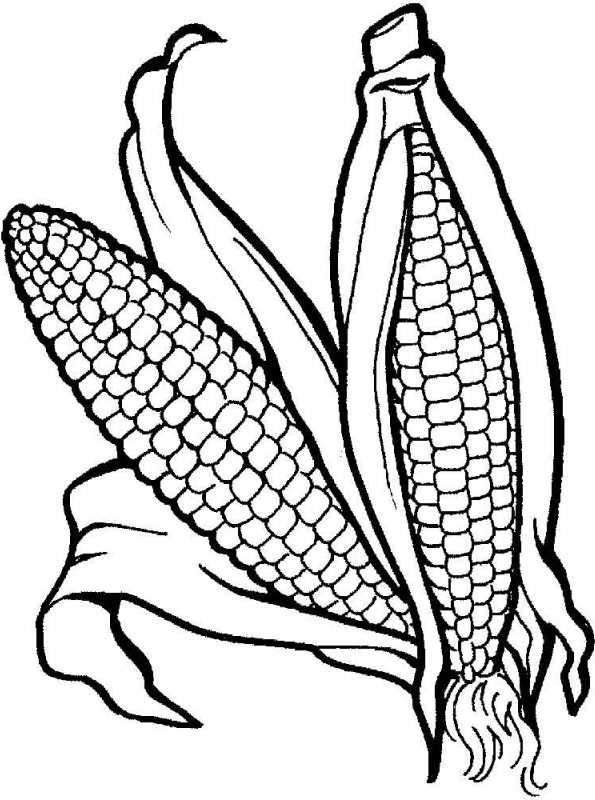 120 Corn Coloring Pages Printable 85