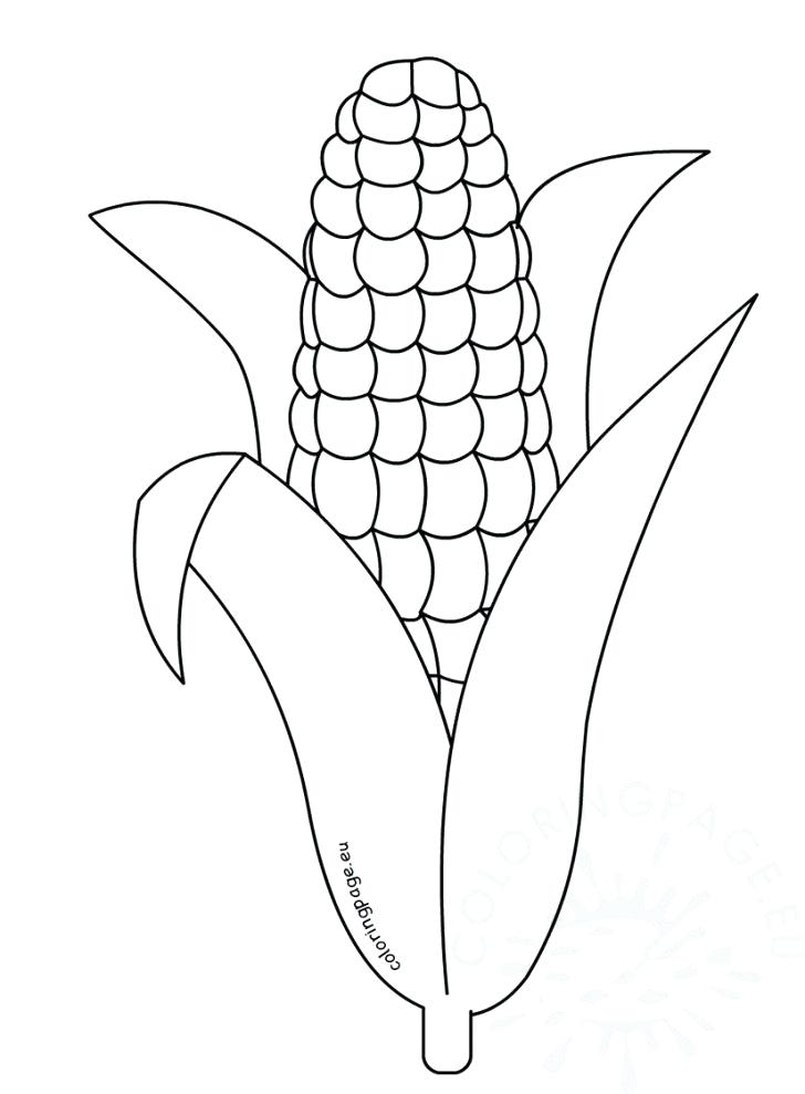 120 Corn Coloring Pages Printable 87