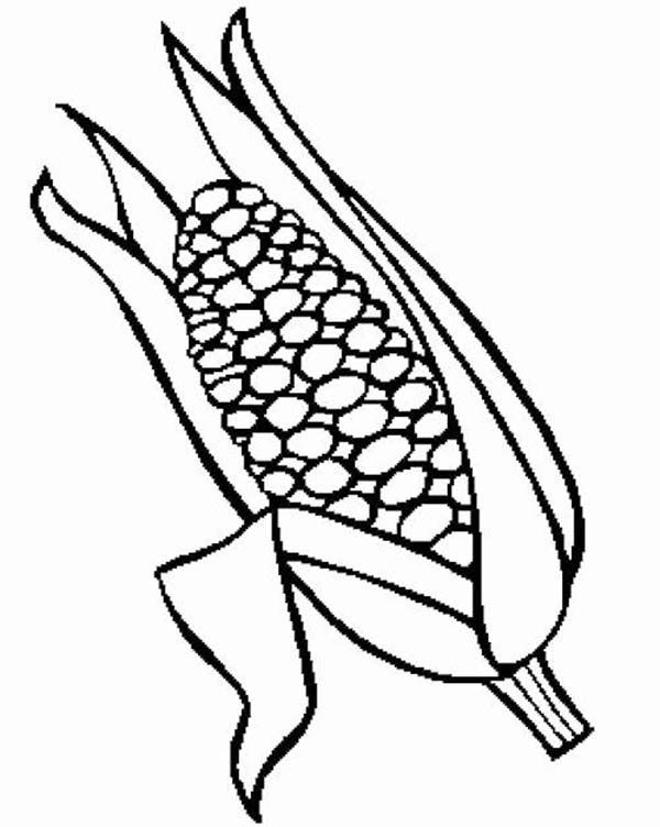 120 Corn Coloring Pages Printable 92