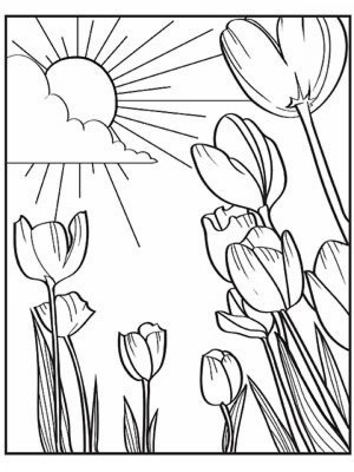 29 Fresh Spring Coloring Pages Printable 10