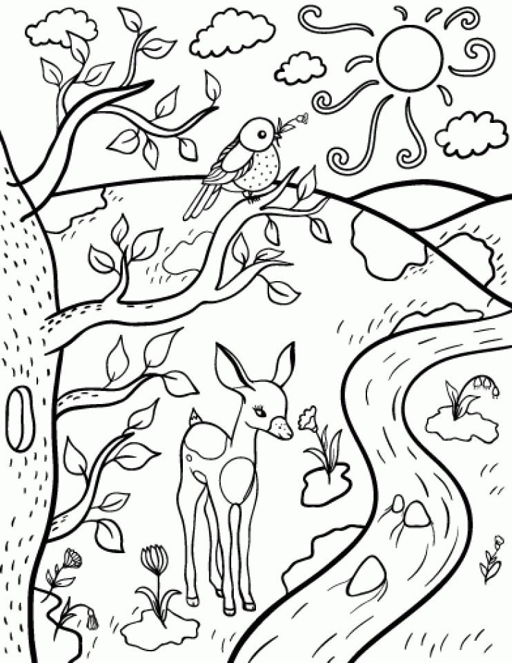 29 Fresh Spring Coloring Pages Printable 15