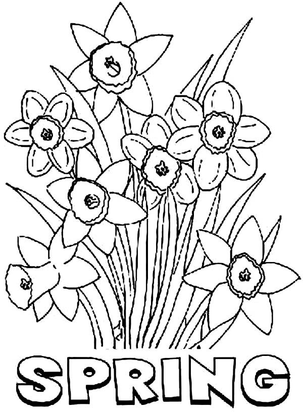 29 Fresh Spring Coloring Pages Printable 26