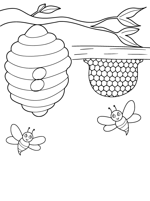 30 Busy Bee Coloring Pages Printable 16