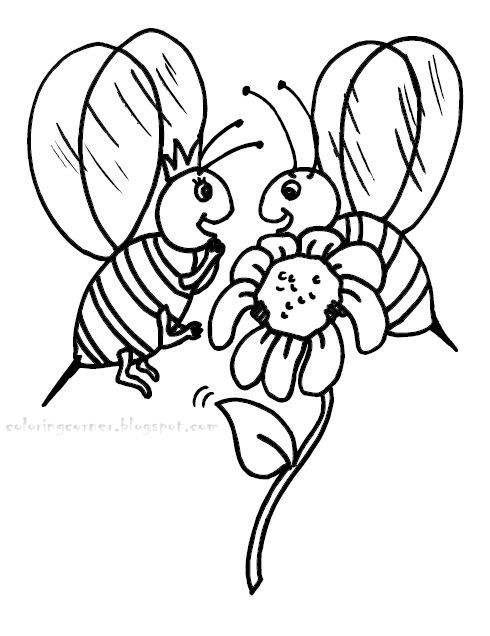 30 Busy Bee Coloring Pages Printable 24