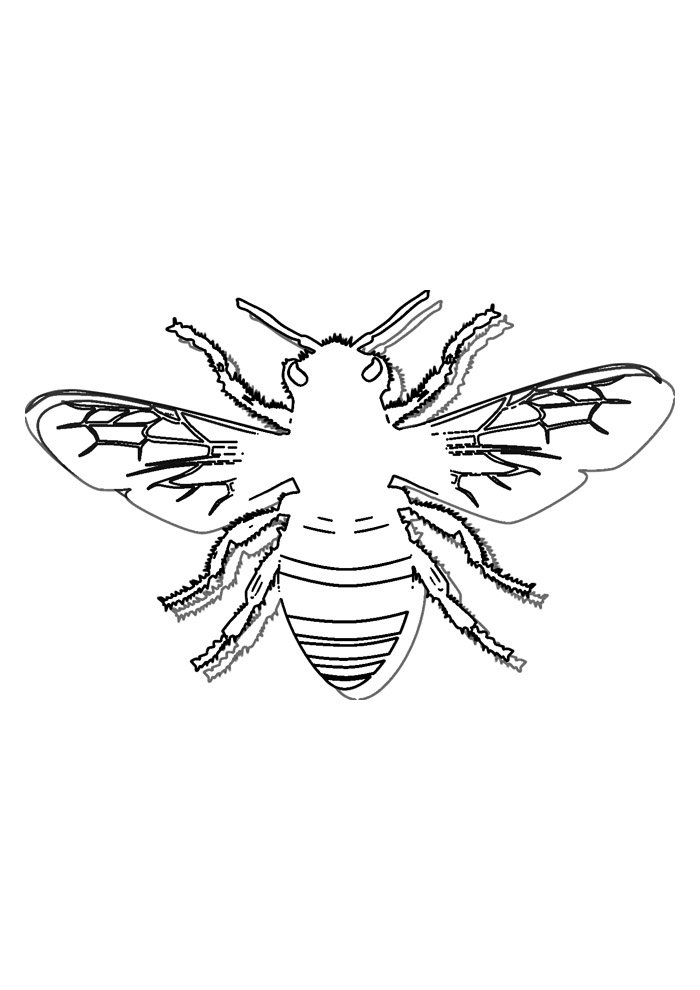 30 Busy Bee Coloring Pages Printable 35