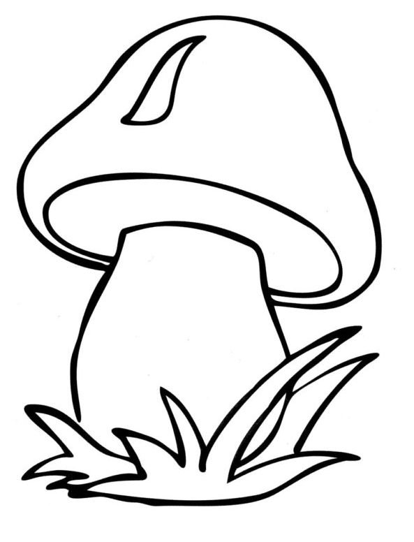 31 Whimsical Mushroom Coloring Pages Printable 12