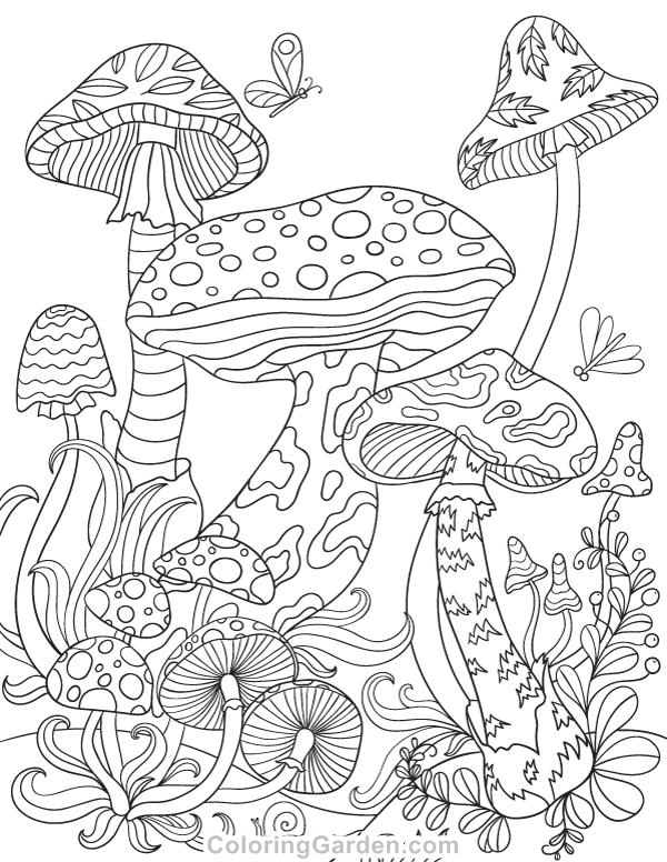 31 Whimsical Mushroom Coloring Pages Printable 23