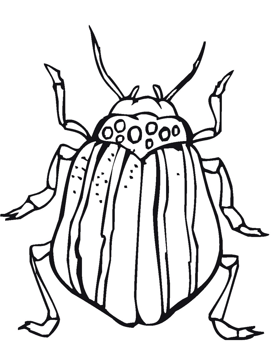 36 Creepy Bugs Coloring Pages Printable 2