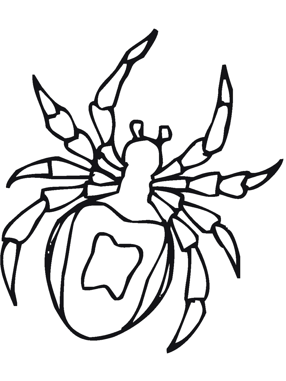 36 Creepy Bugs Coloring Pages Printable 32