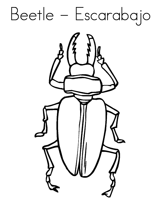 36 Creepy Bugs Coloring Pages Printable 4