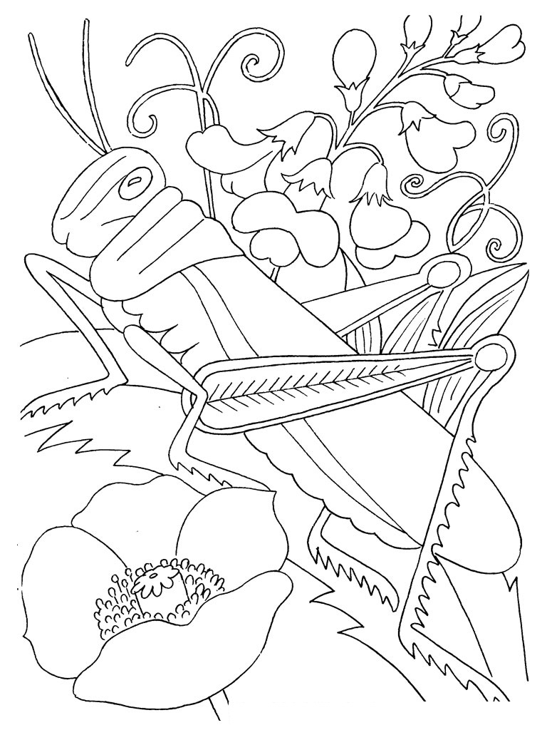 36 Creepy Bugs Coloring Pages Printable 8