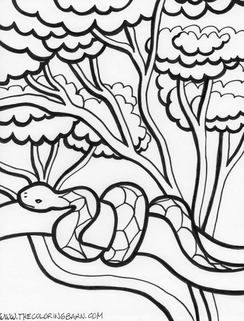 36 Interesting Snake Coloring Pages Printable 12