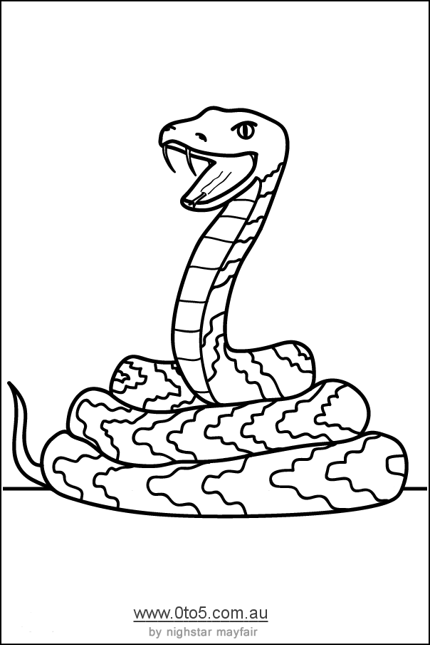 36 Interesting Snake Coloring Pages Printable 14