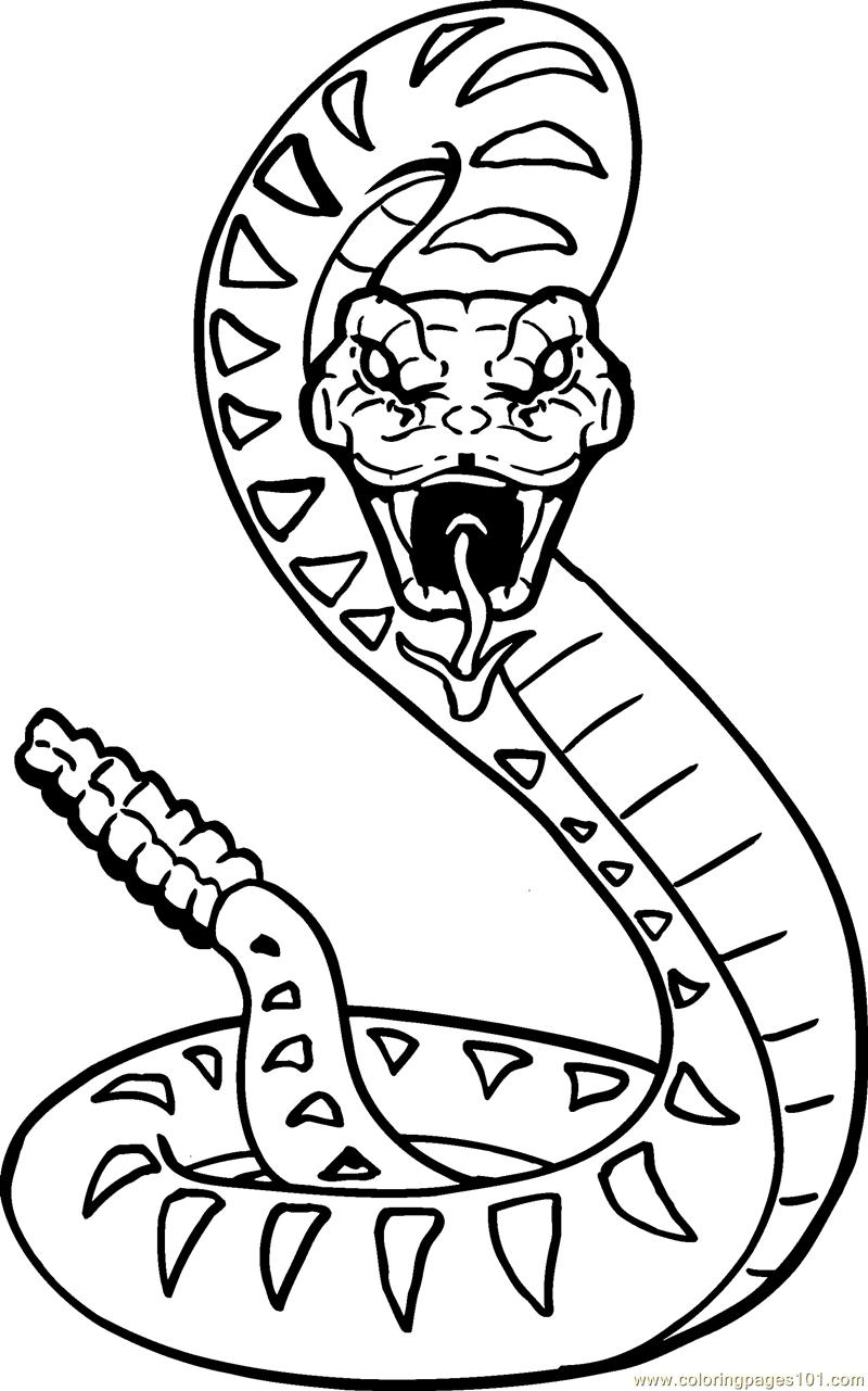 36 Interesting Snake Coloring Pages Printable 16