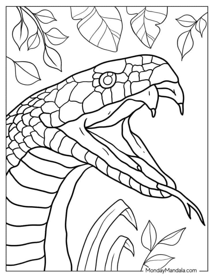 36 Interesting Snake Coloring Pages Printable 2