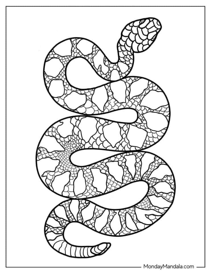 36 Interesting Snake Coloring Pages Printable 23