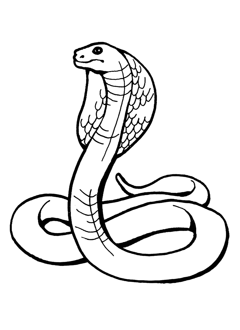 36 Interesting Snake Coloring Pages Printable 28