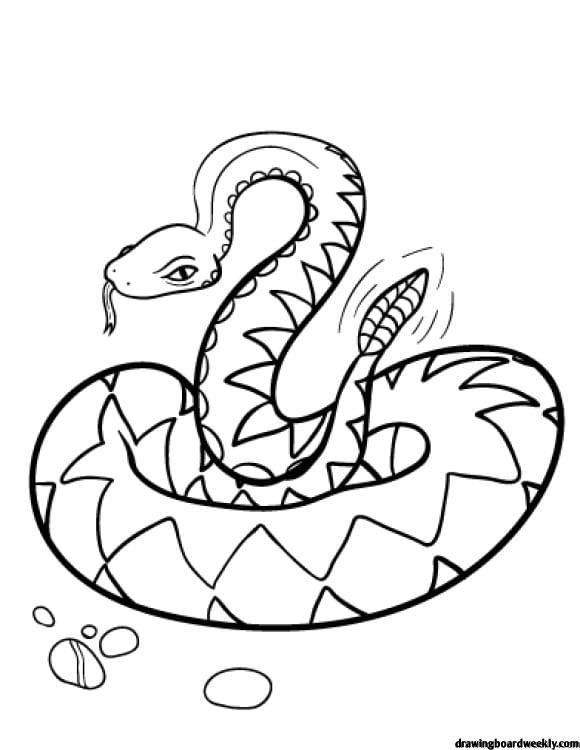 36 Interesting Snake Coloring Pages Printable 32