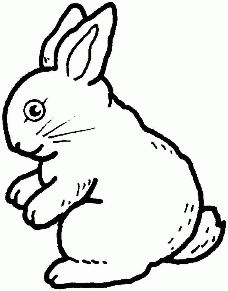 37 Adorable Rabbit Coloring Pages Printable 12