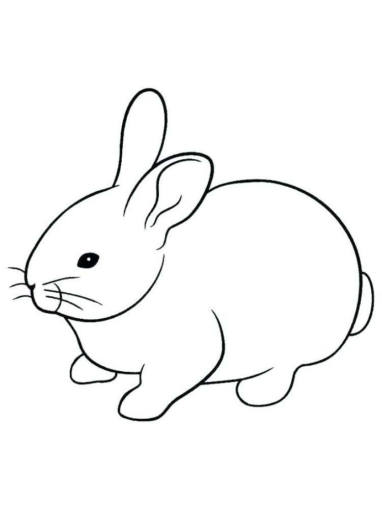 37 Adorable Rabbit Coloring Pages Printable 13