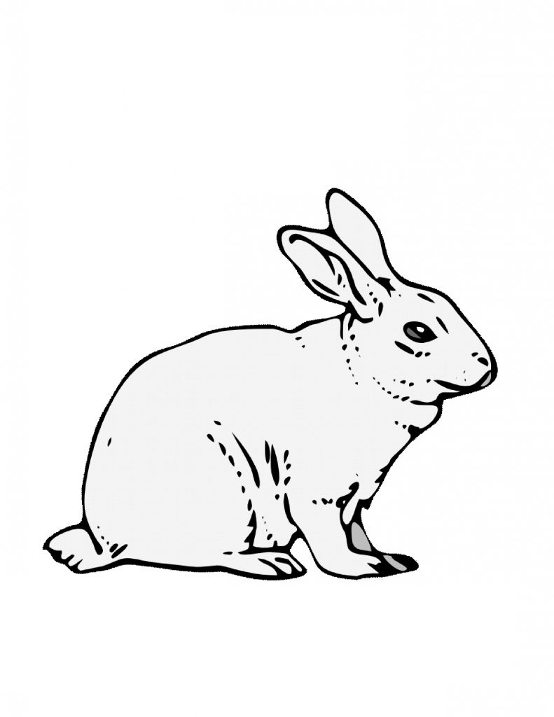 37 Adorable Rabbit Coloring Pages Printable 19