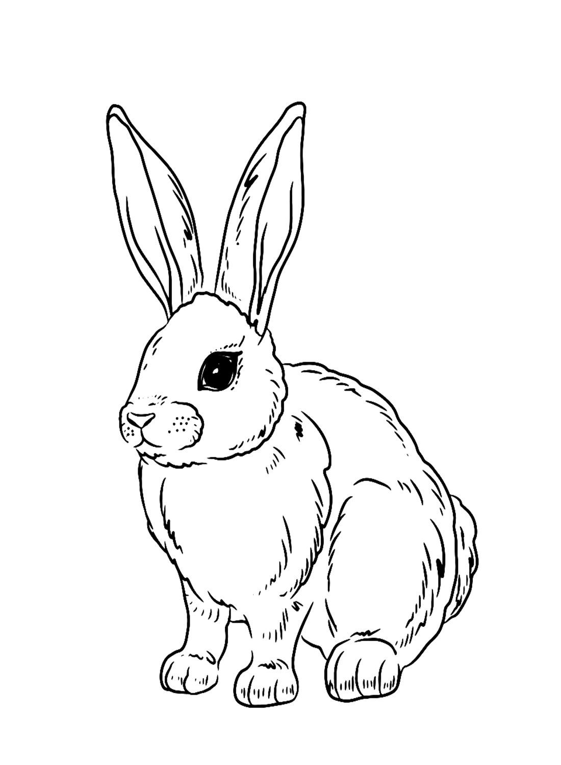 37 Adorable Rabbit Coloring Pages Printable 21