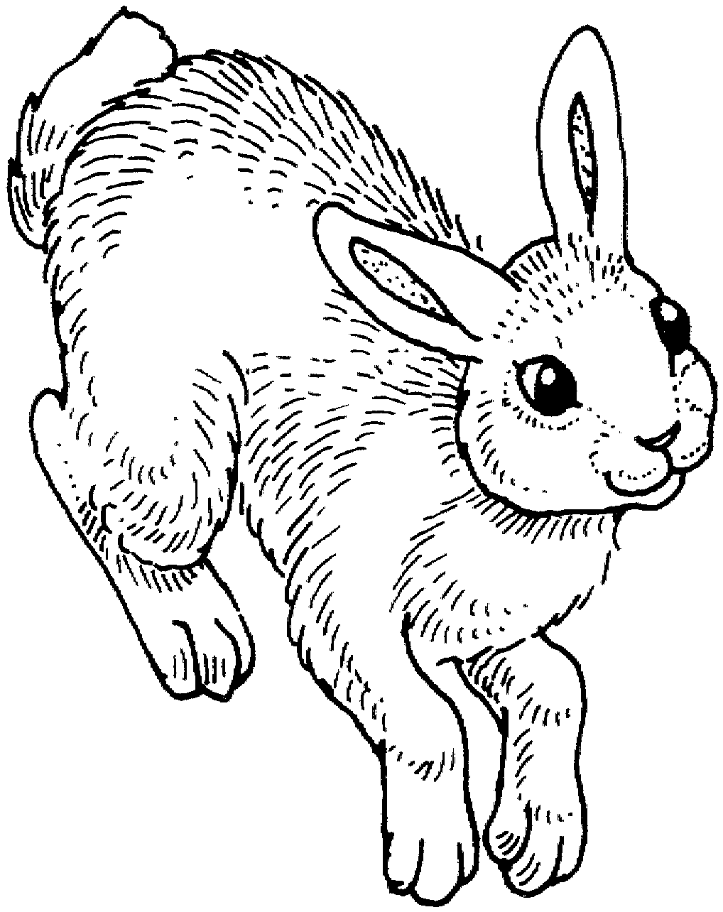 37 Adorable Rabbit Coloring Pages Printable 28