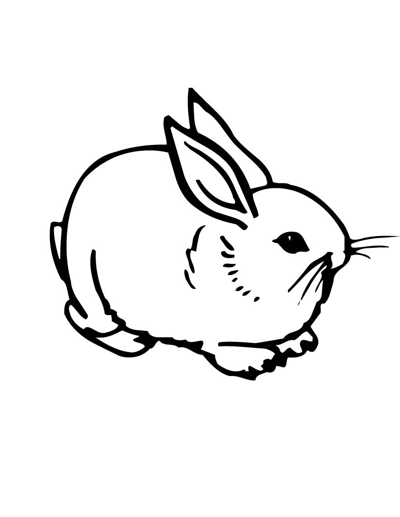 37 Adorable Rabbit Coloring Pages Printable 31