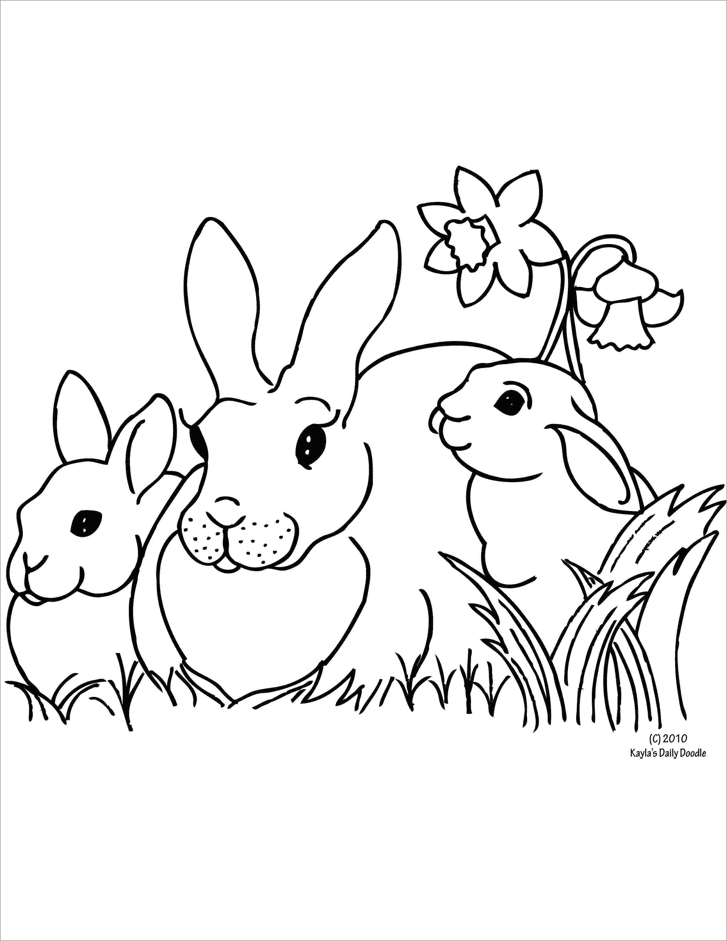 37 Adorable Rabbit Coloring Pages Printable 35