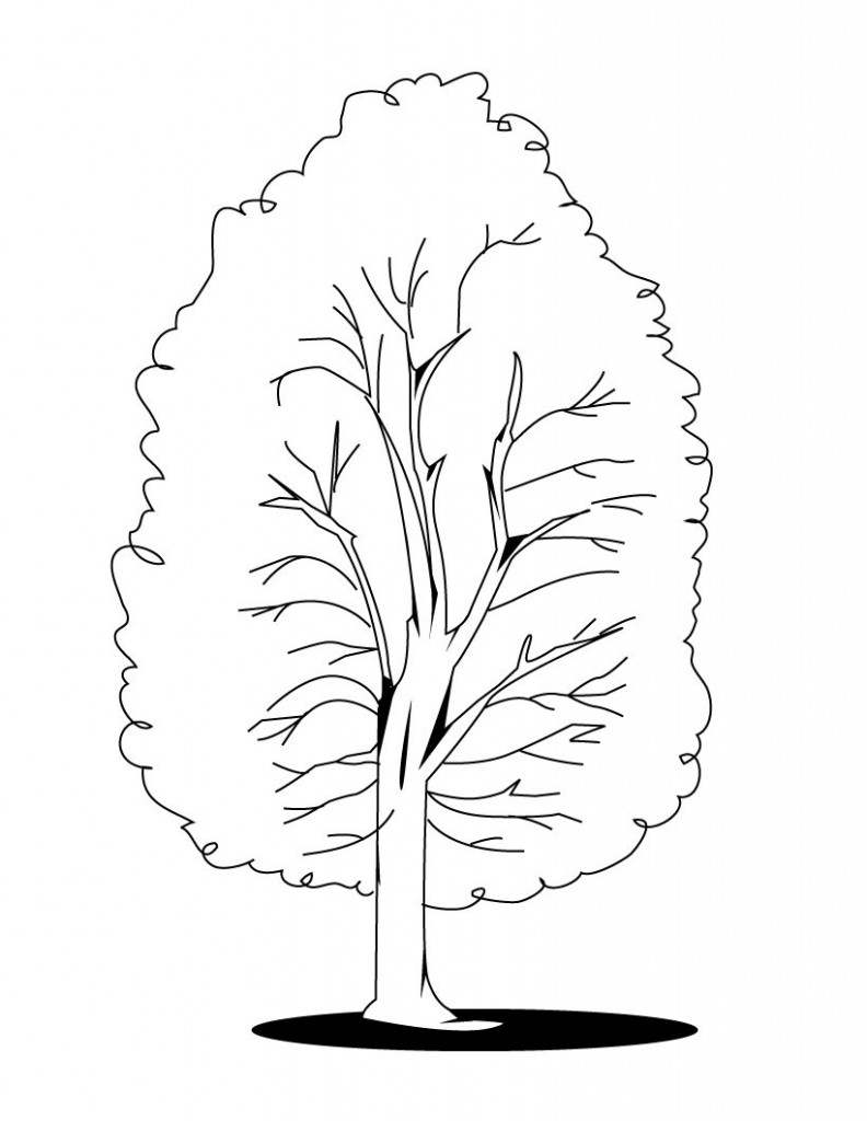 88 Tree Coloring Pages for Kids Printable 14