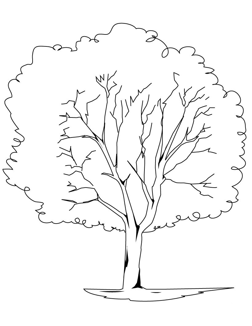 88 Tree Coloring Pages for Kids Printable 2