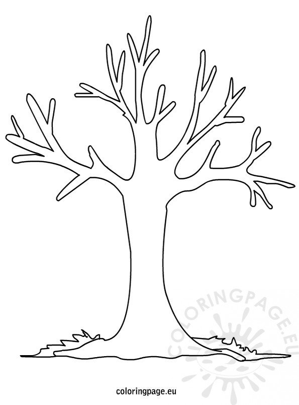 88 Tree Coloring Pages for Kids Printable 43