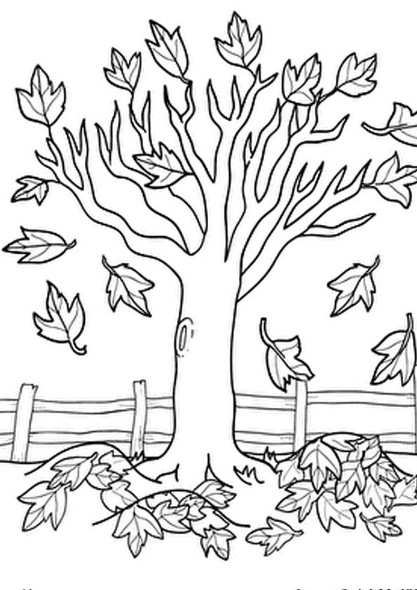 88 Tree Coloring Pages for Kids Printable 44