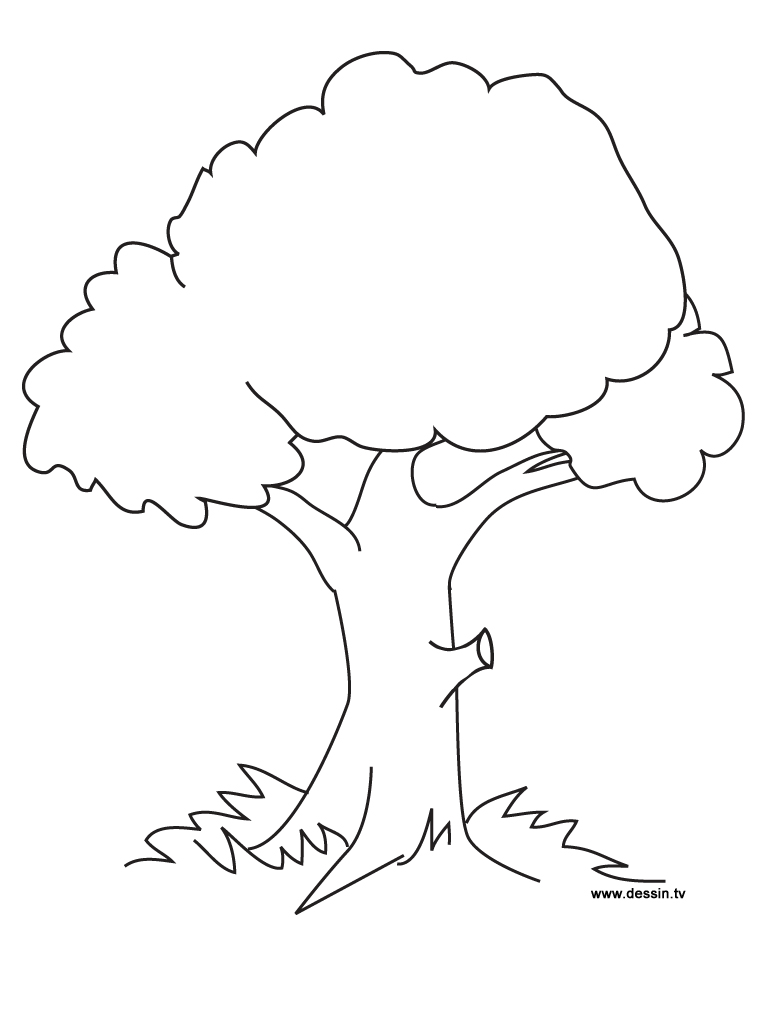 88 Tree Coloring Pages for Kids Printable 46