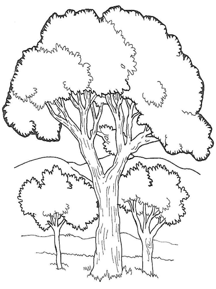 88 Tree Coloring Pages for Kids Printable 55