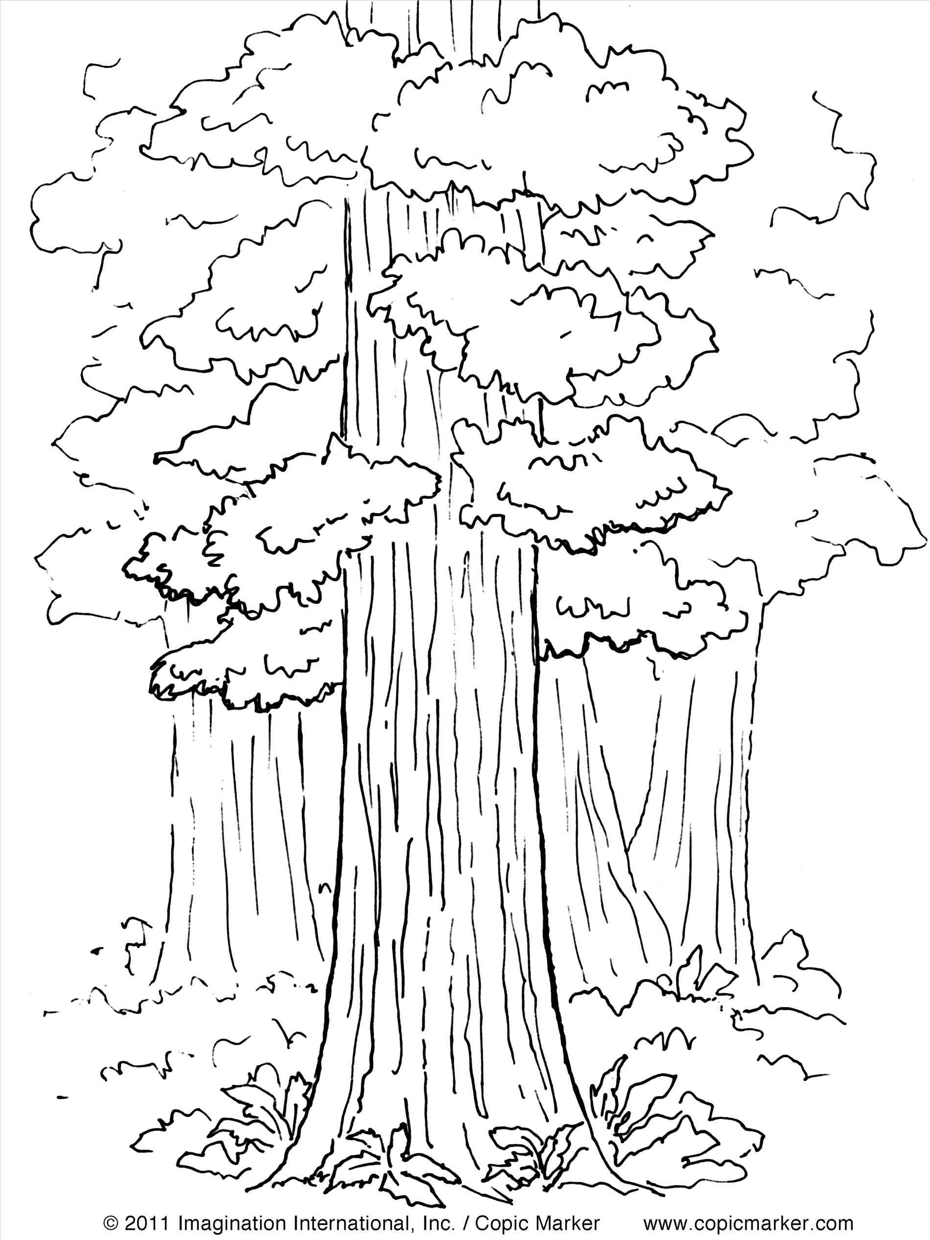 88 Tree Coloring Pages for Kids Printable 68