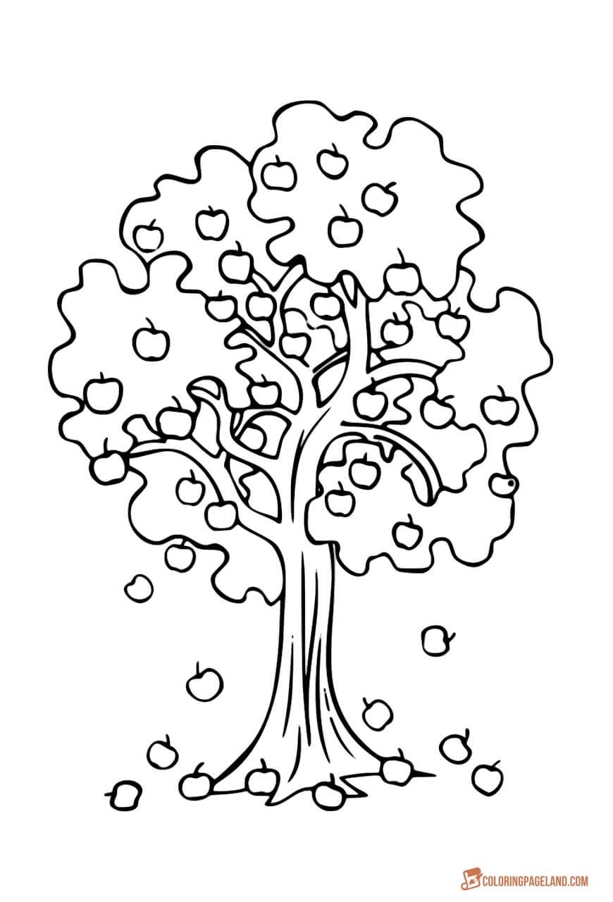 88 Tree Coloring Pages for Kids Printable 73