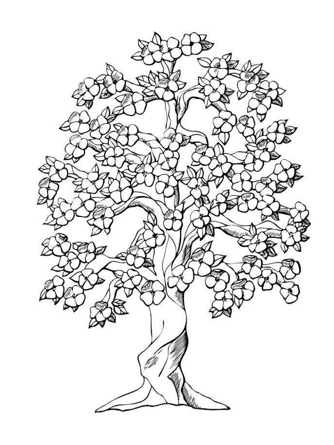 88 Tree Coloring Pages for Kids Printable 82