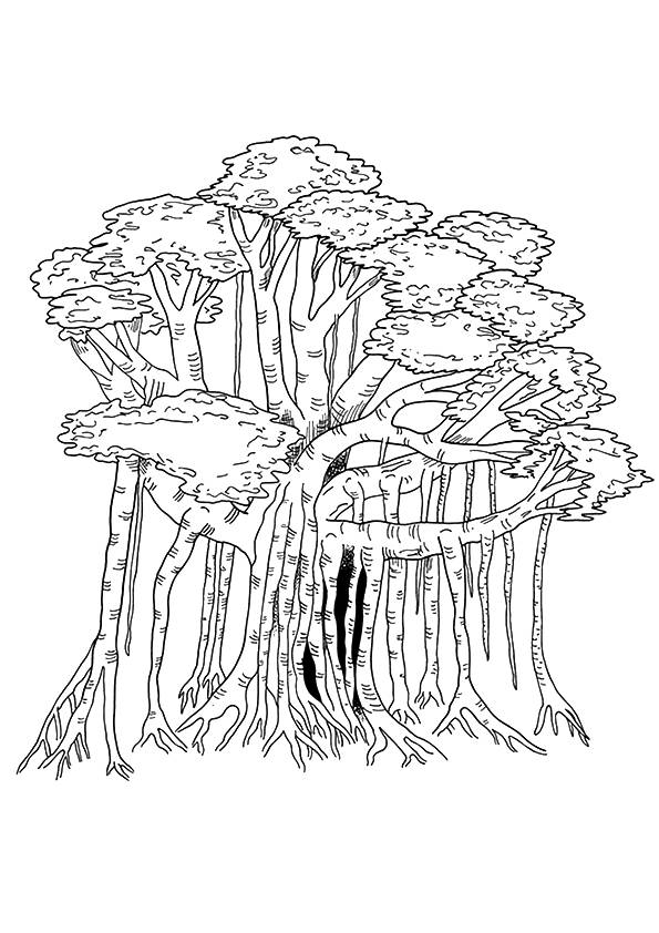 88 Tree Coloring Pages for Kids Printable 87