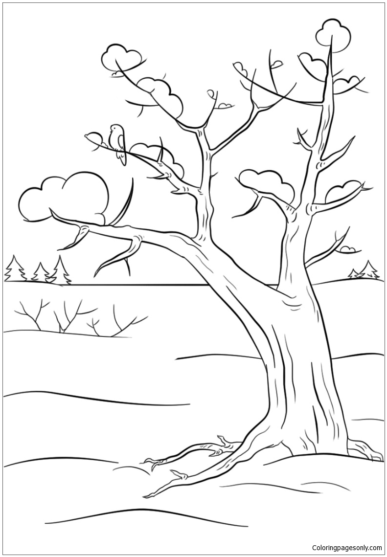 88 Tree Coloring Pages for Kids Printable 88