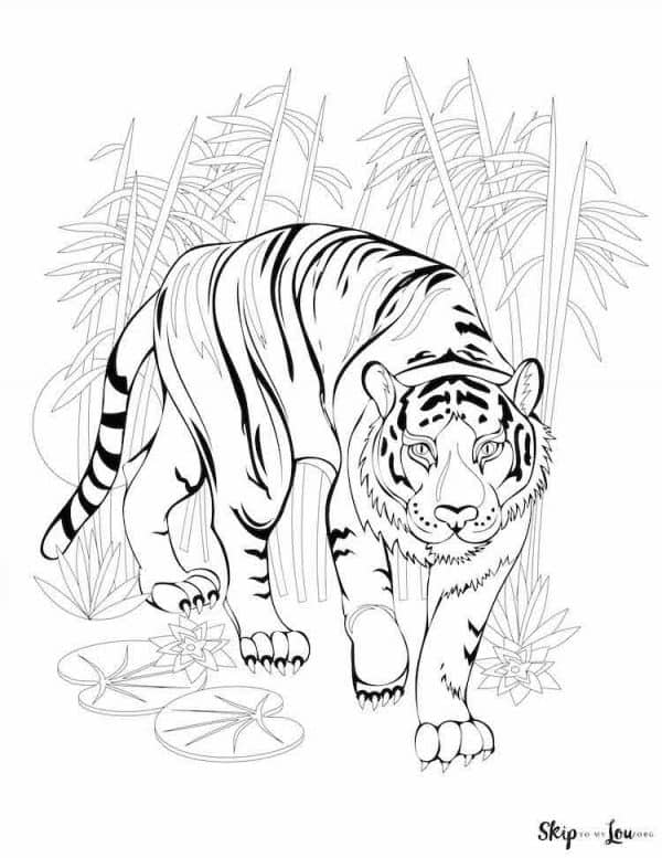 90 Printable Tiger Coloring Pages for Kids 12