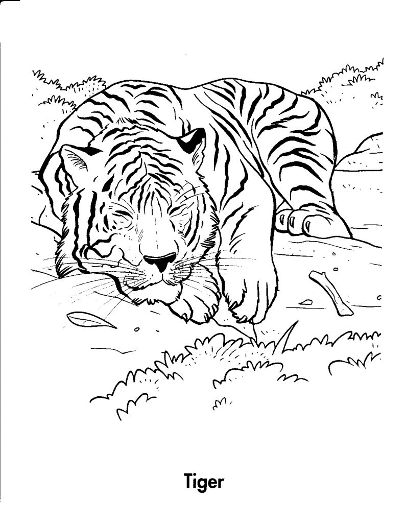 90 Printable Tiger Coloring Pages for Kids 15