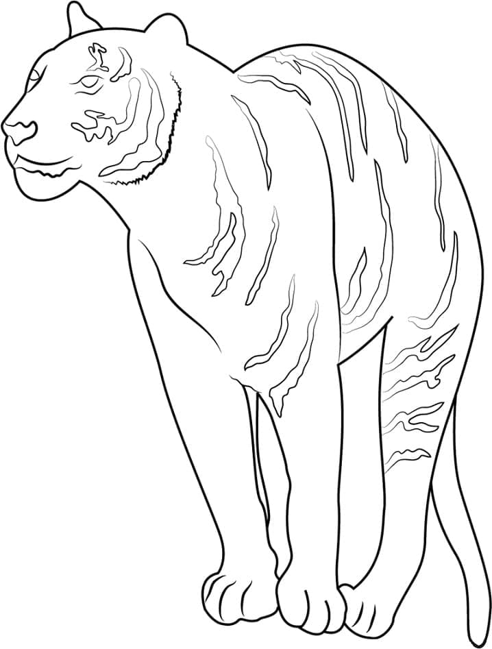 90 Printable Tiger Coloring Pages for Kids 41