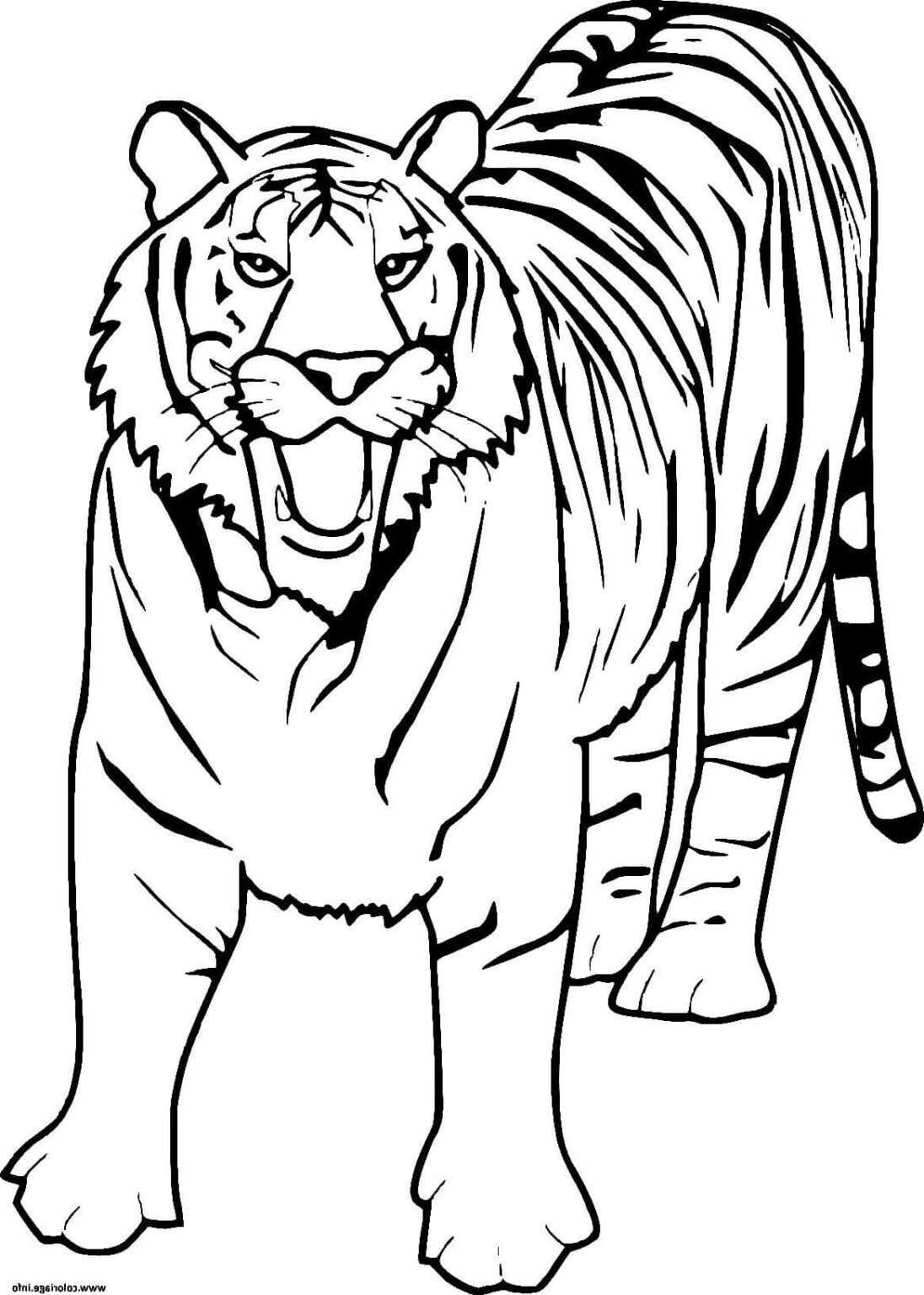 90 Printable Tiger Coloring Pages for Kids 42