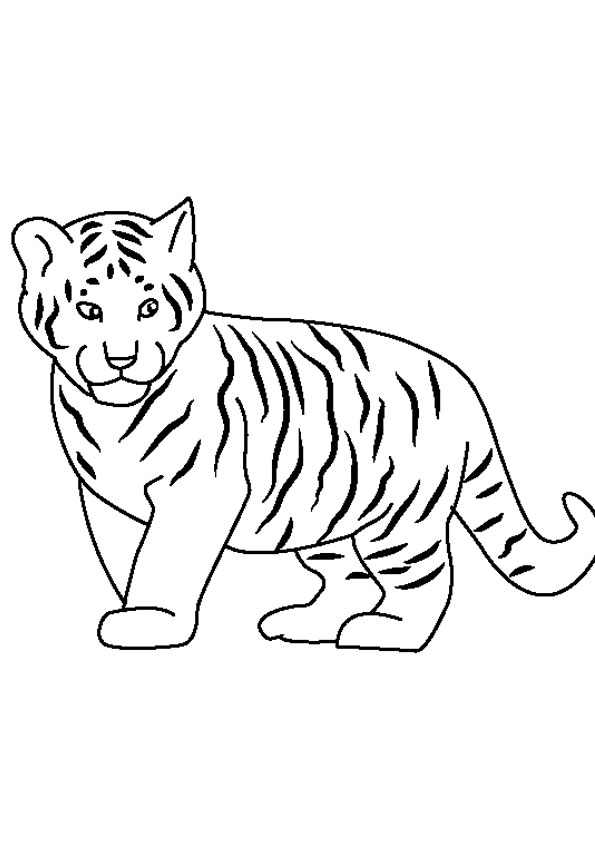 90 Printable Tiger Coloring Pages for Kids 53